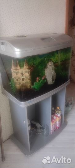 Аквариум с тумбой jebo