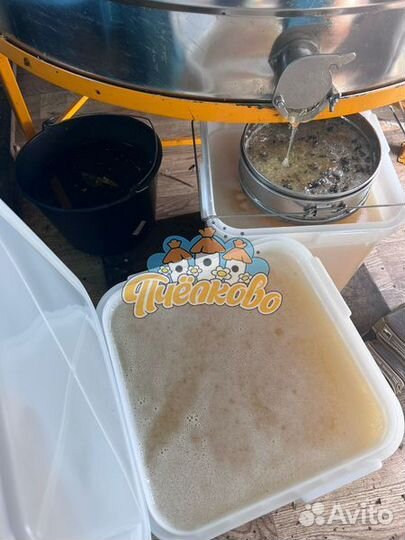 Мёд Белой Акации оптом 2023года