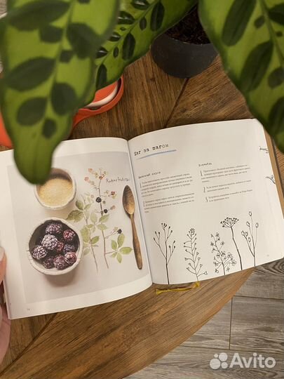 Коротаем зиму. Эмма Митчел