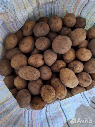 Продам картофель, возможна доставка