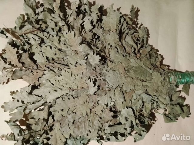 Дубовые веники для бани