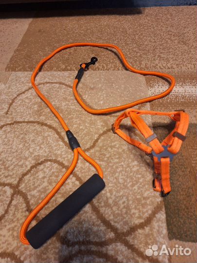 Шлейка, поводок для кошек, мелких пород собак