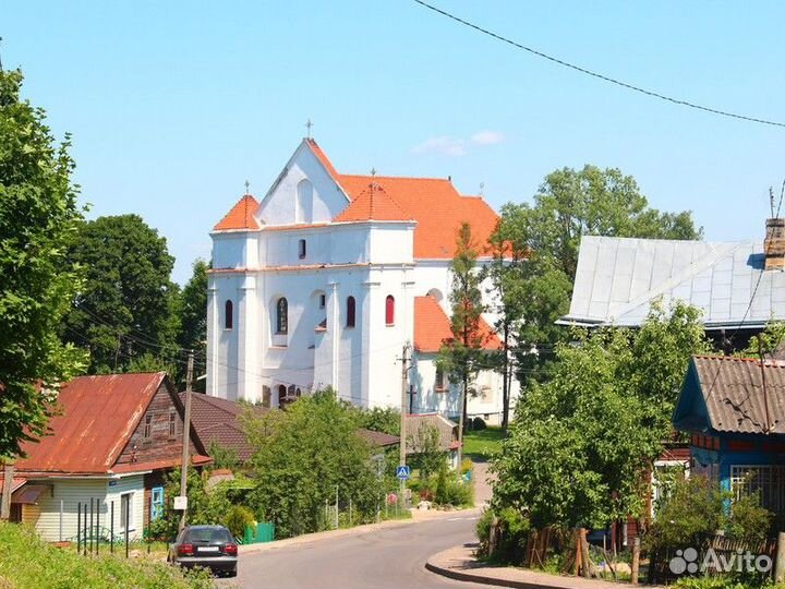 Минск Топ-Экскурсия Замки Беларуси: Мир, Новогрудо