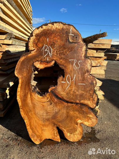 Спил карагач