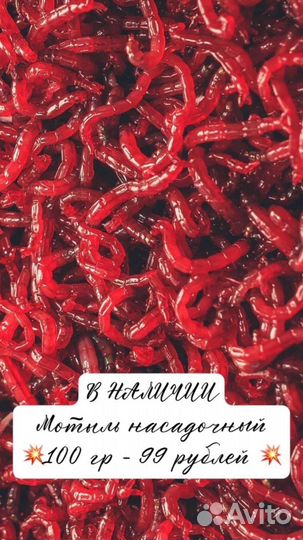 Мотыль,опарыш,червь