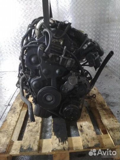 Двигатель Ford C Max hhda