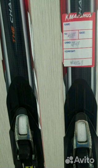 Беговые лыжи