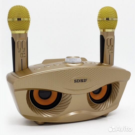 Колонка с микрофонами Blutooth SD-306 plus