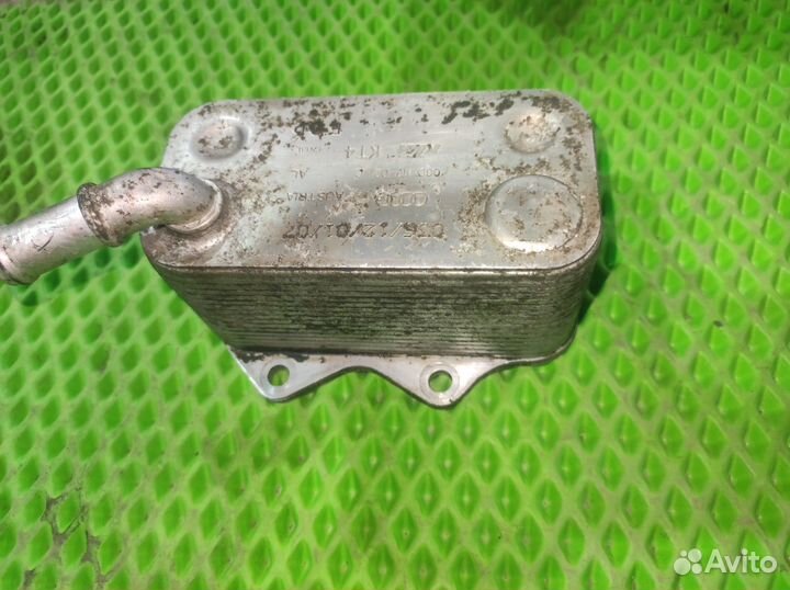 Радиатор масляный Volkswagen Passat B6