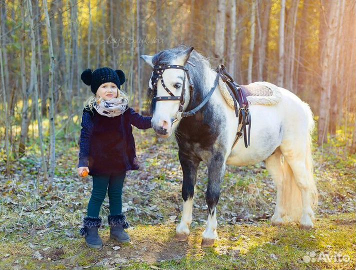 Заказ, аренда аттракционов на мероприятия