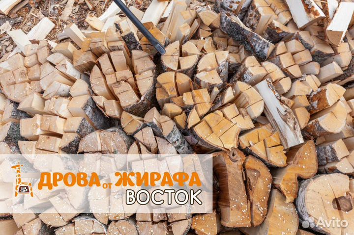 Дрова березовые