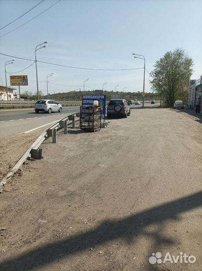 Куры несушки рыжие родонит