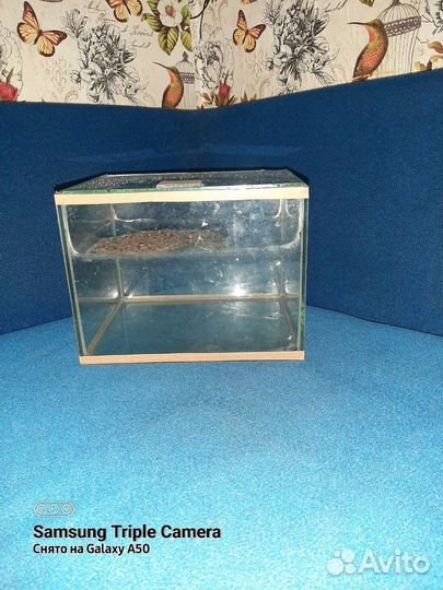 Черепашники б/у