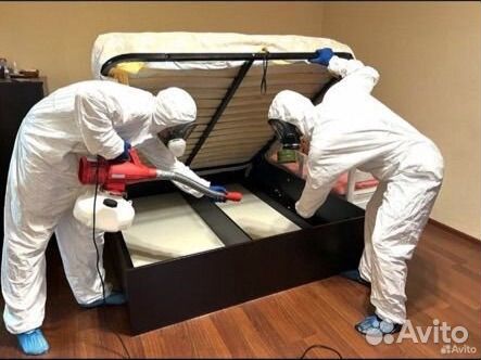 Дезинфектор