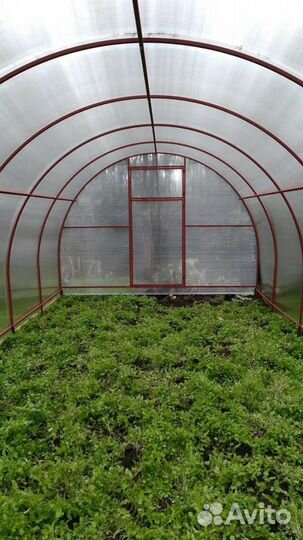 Ваша теплица