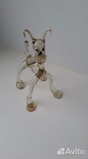 Стеклянная собака