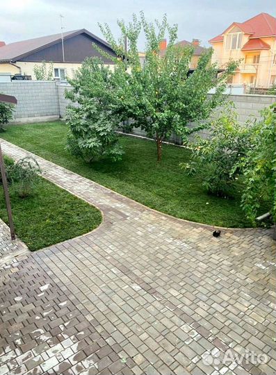 Рулонный газон 