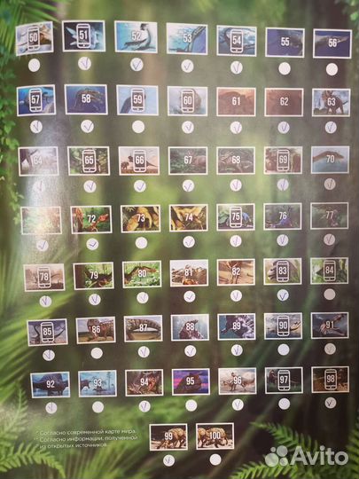 Смотри, динозавры дикси книга с наклейками