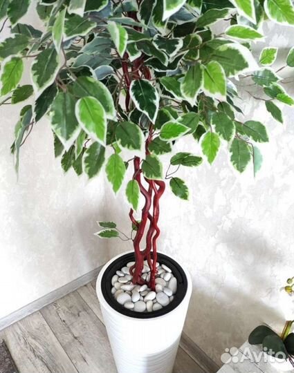 Искусственное дерево Фикус