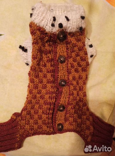 Королевская мантия для чихуахуа