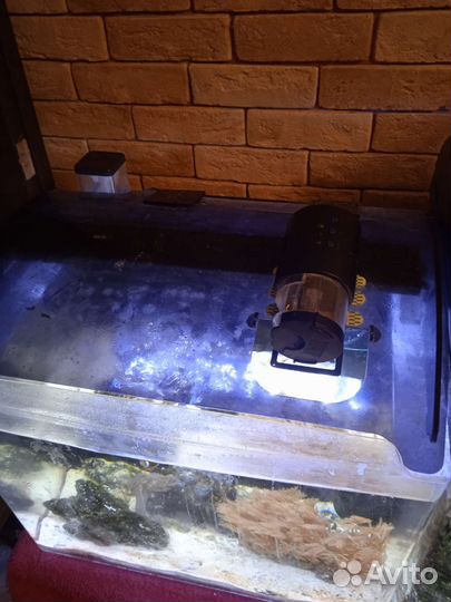 Аквариум 70 литров