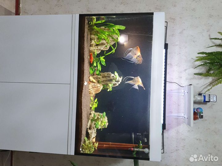 Украшения для аквариума