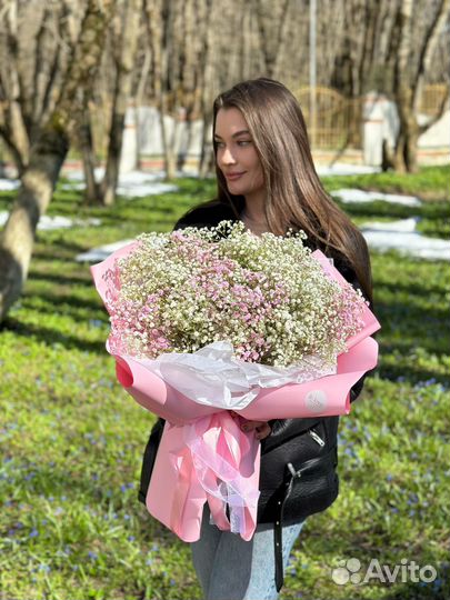 Гипсофила Цветы Букеты Доставка