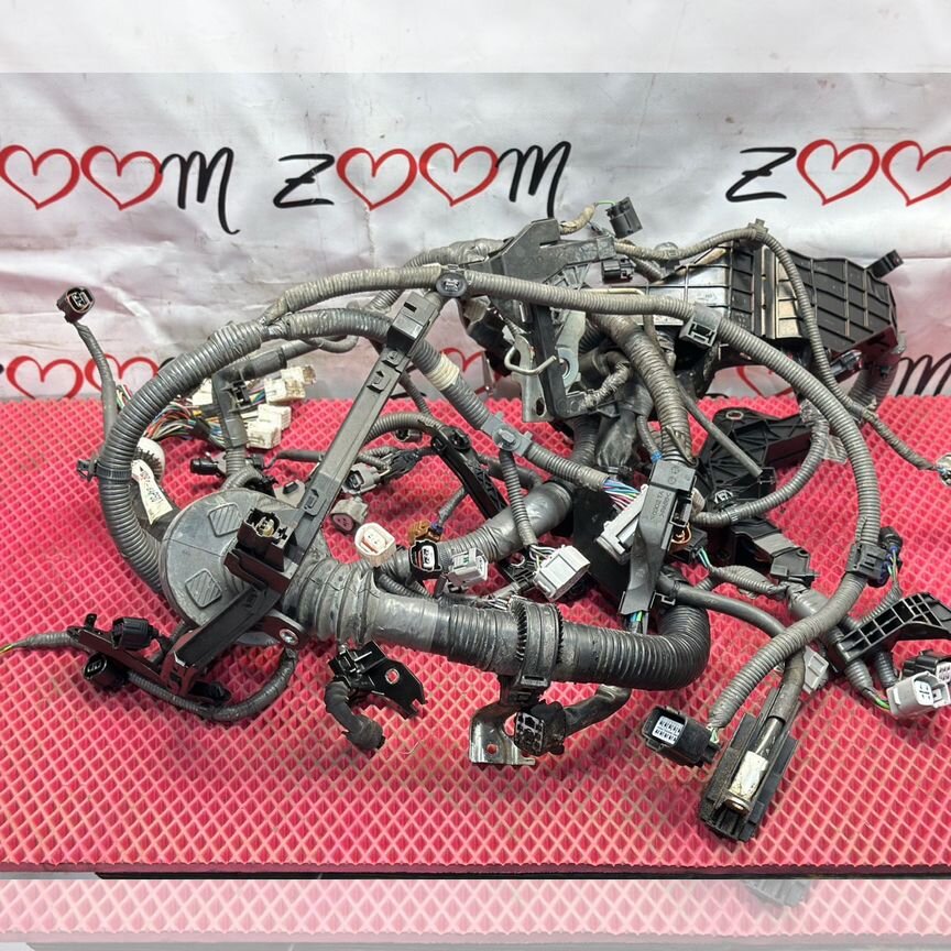 ♥ Explore the Magic of the Earth: Uncover Hidden Treasures and