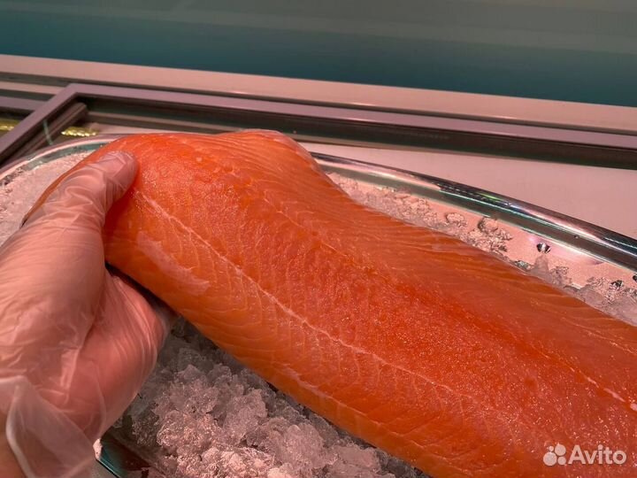 Лосось филе слабосолённый. Доставка. Опт