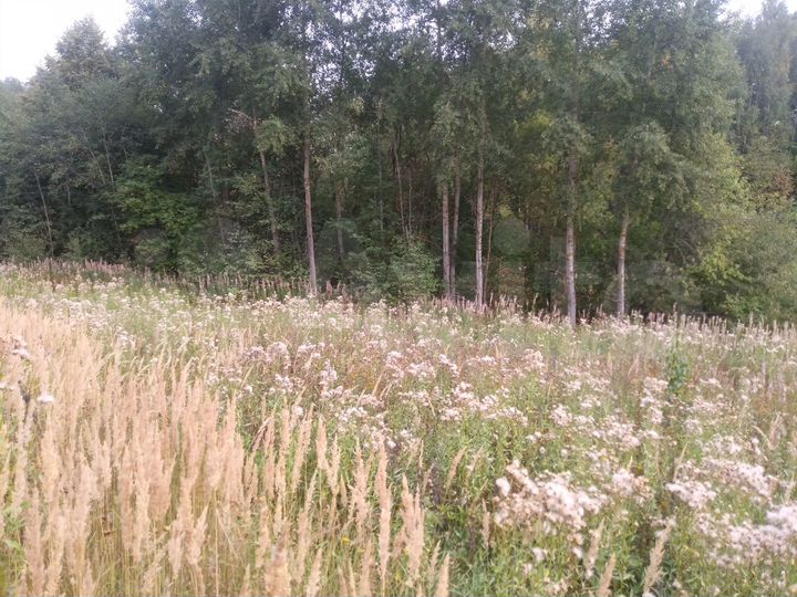 Участок 13,6 сот. (ИЖС)