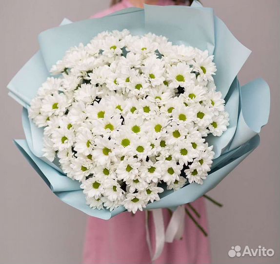 Букет из хризантем на 1 сентября