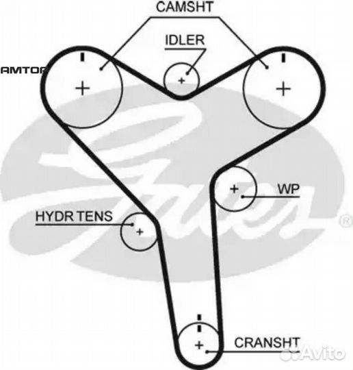 Gates T257 T257 gates Ремень грм 39211*32 HSN