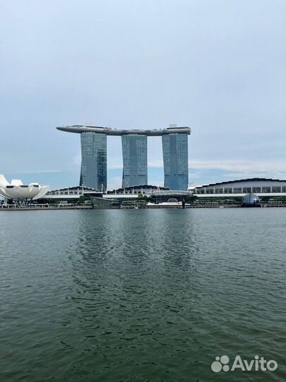 Зарубежная программа Itec Сингапур