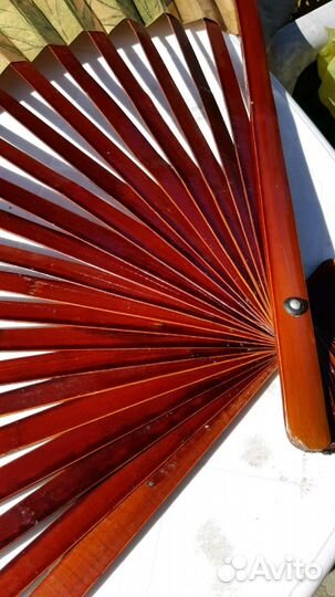 Веер дерево германия красота