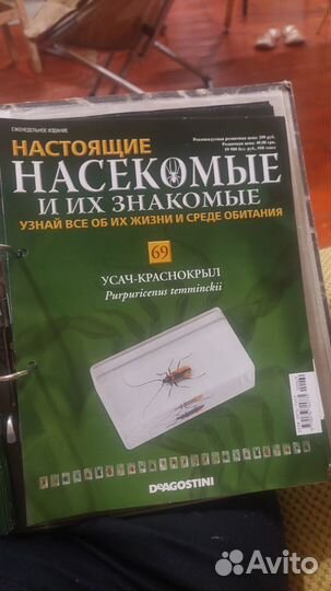 Настоящие насекомые и их знакомые.Полная коллекция