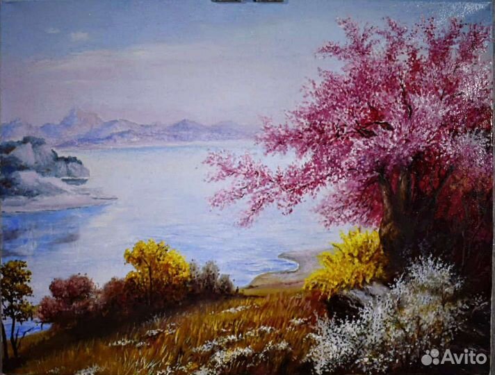 Сакура у озера