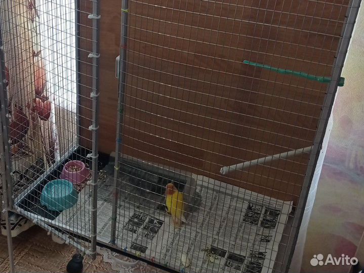 Клетка для попугая