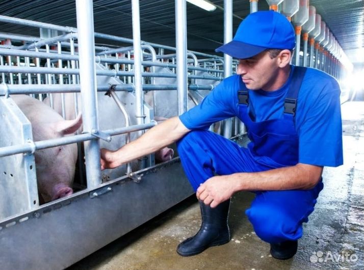 Рабочий по уходу за животными Вахта