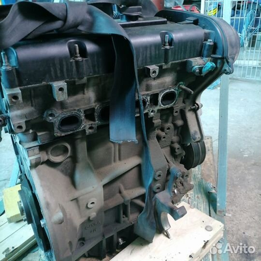 Двигатель ford focus 2 1.6 100 л с hwdb