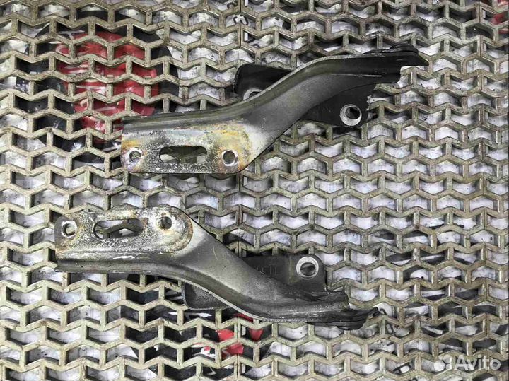 Петля капота Acura TSX