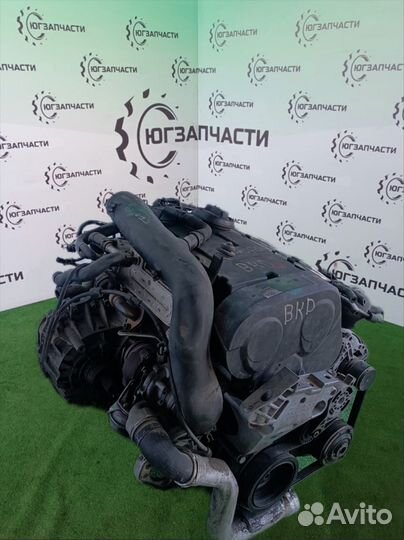 Двигатель BKD 2.0 tdi volkswagen/skoda/audi