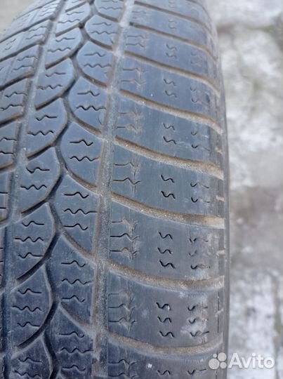 Tigar Winter 1 155/70 R13