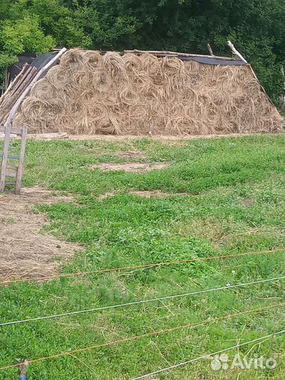 Продам сено в рулонах