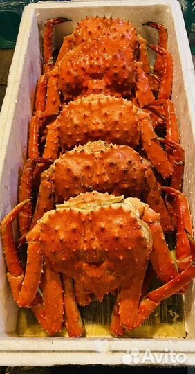 Краб камчатский