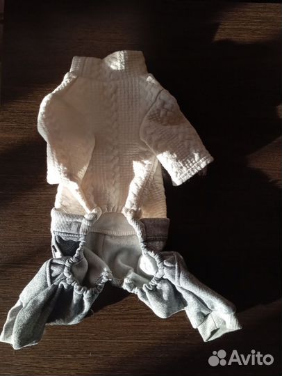 Одежда для собак