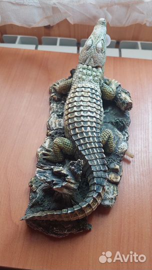Крокодил для аквариума