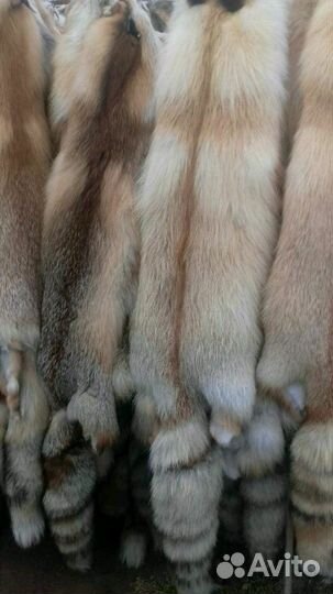Шкуры лисы