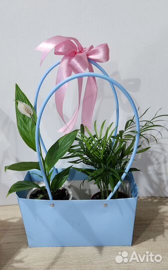 Подарочный набор к 8 марта