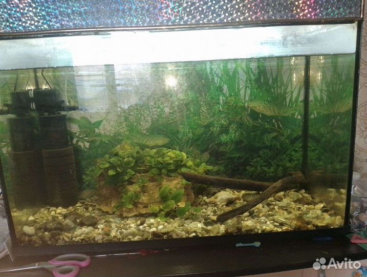 Аквариум
