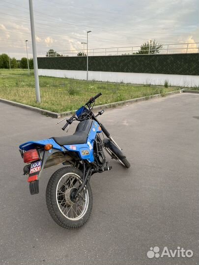 Зид пилот 50